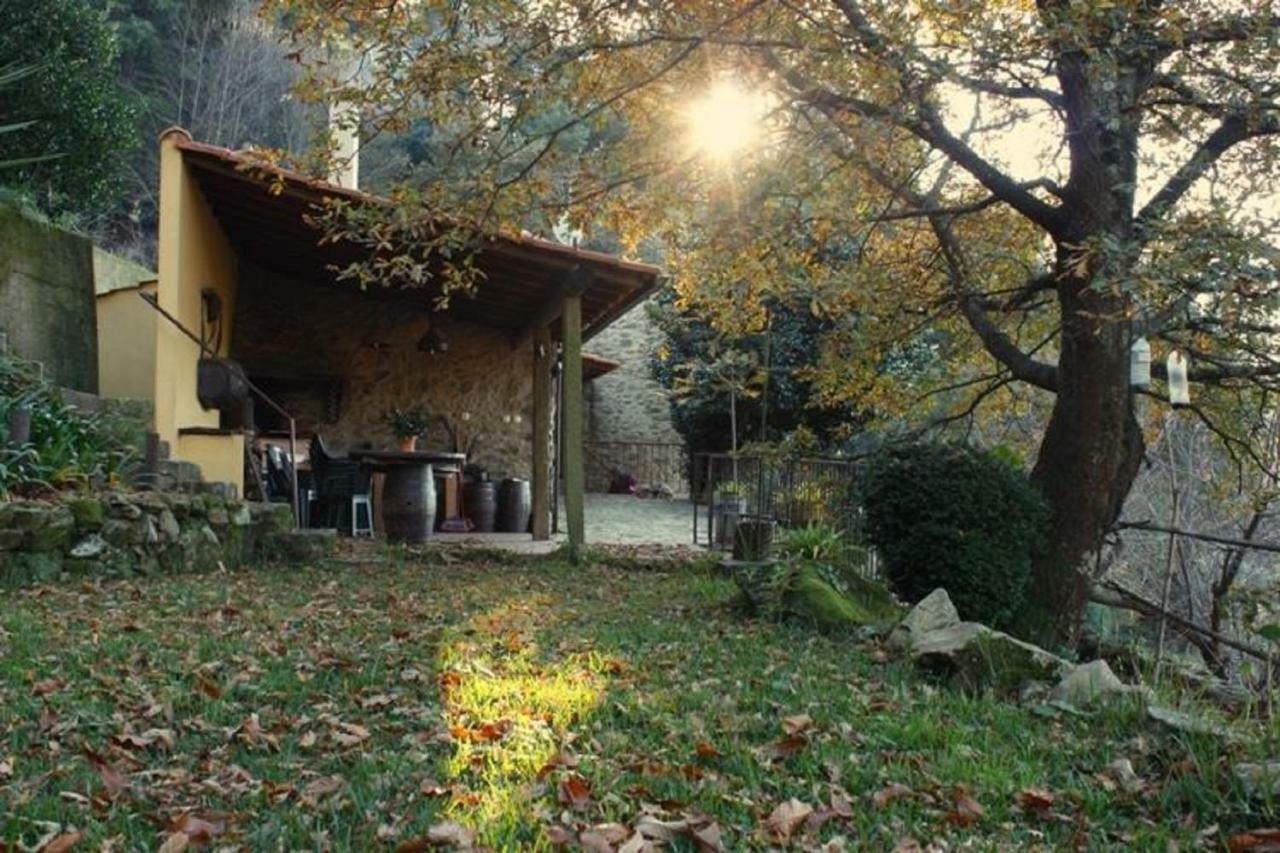 Вилла Quinta Da Costeira Север-ду-Вога Экстерьер фото