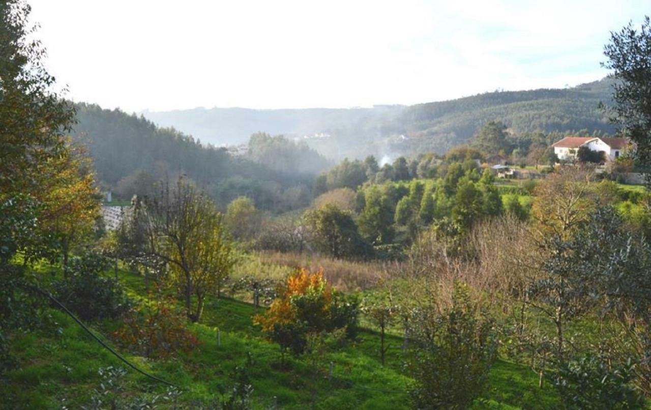 Вилла Quinta Da Costeira Север-ду-Вога Экстерьер фото