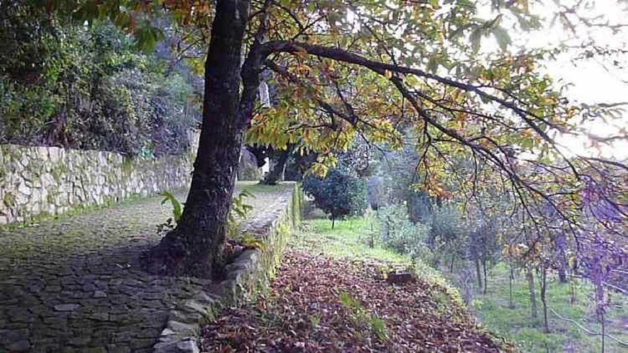 Вилла Quinta Da Costeira Север-ду-Вога Экстерьер фото